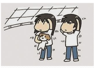 7.png 7.png